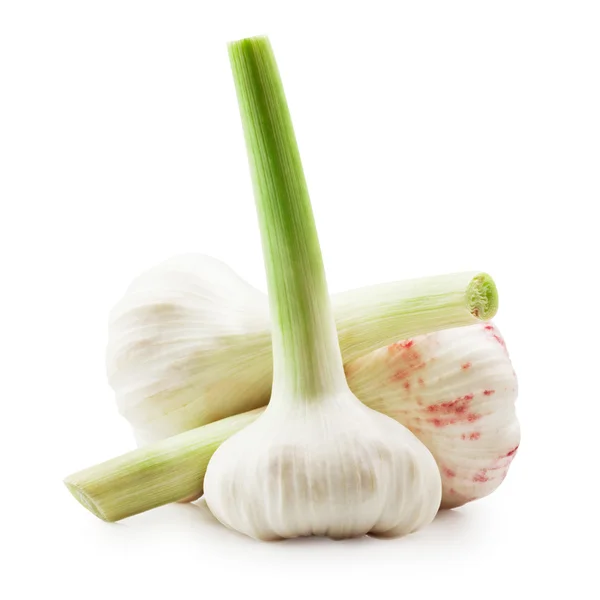 Garlics isolerade — Stockfoto