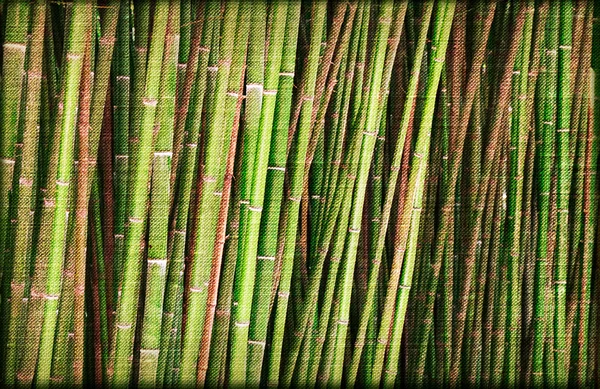 Bambus papír — Stock fotografie