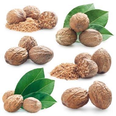 Nutmeg clipart