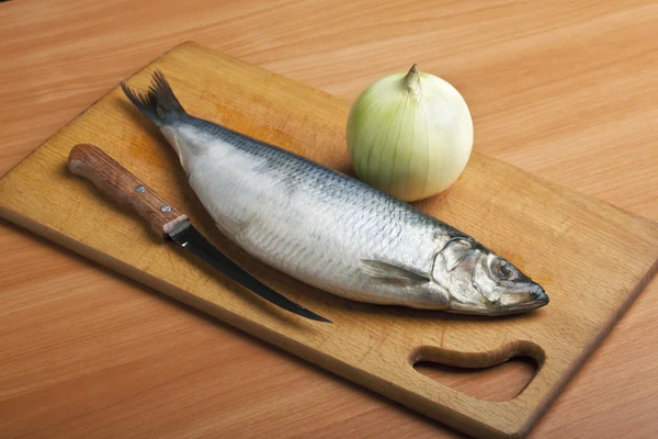 stock image Herring