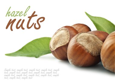 Nuts clipart