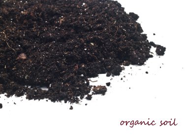 Organic soil clipart