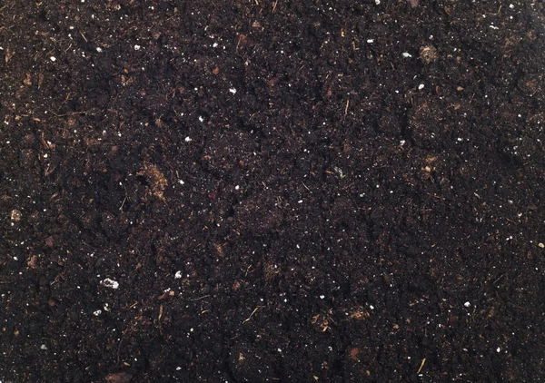 Органические почвы — стоковое фото
