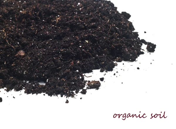 Gleba organiczna — Zdjęcie stockowe