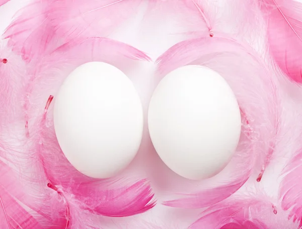 Eggs feathers — Stock Photo, Image