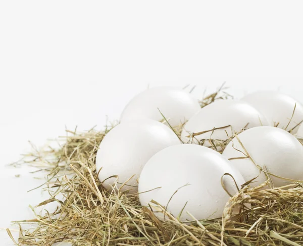 White eggs — Stock Photo, Image