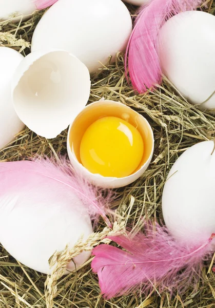 Białko jaj — Zdjęcie stockowe