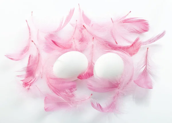 Eggs feathers — Stock Photo, Image
