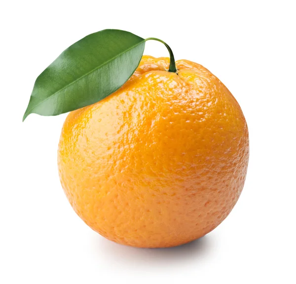 Oranye matang — Stok Foto