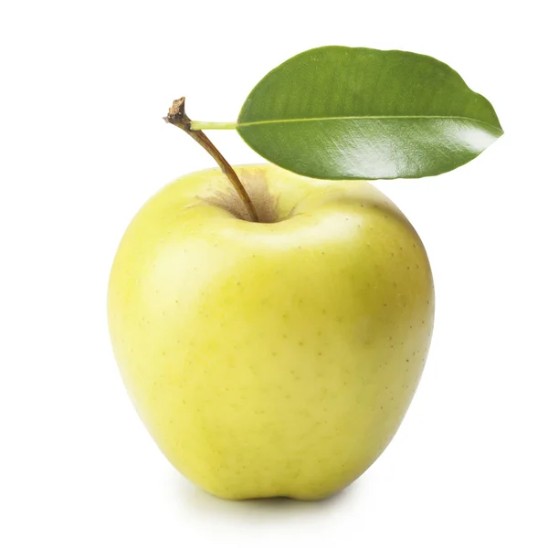 Modent eple – stockfoto