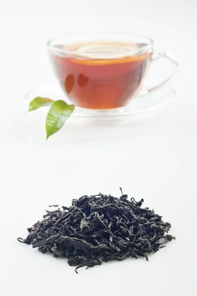 Tee grünes Blatt — Stockfoto