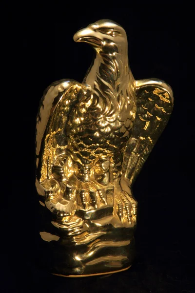 Gouden adelaar — Stockfoto
