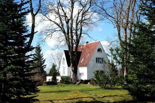 A ház és az erdő — Stock Fotó
