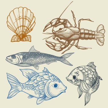 Fish, lobster, shell vector set clipart