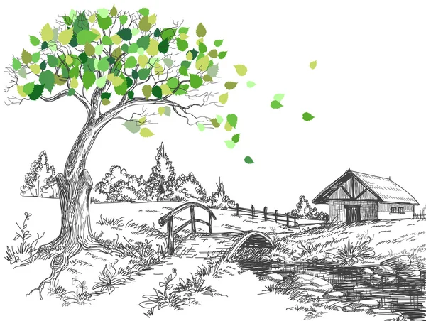 Grüne Blätter Frühlingsbaum, ländliche Landschaft, Brücke über den Fluss — Stockvektor