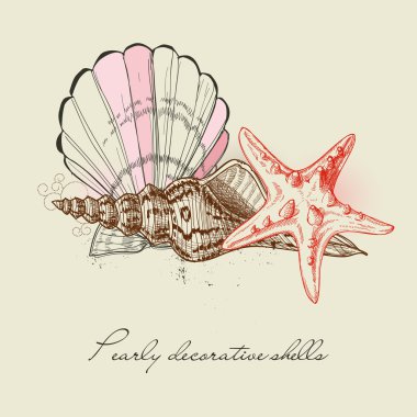 Shells and starfish background clipart