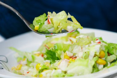 yeşil salata ile et ürünleri