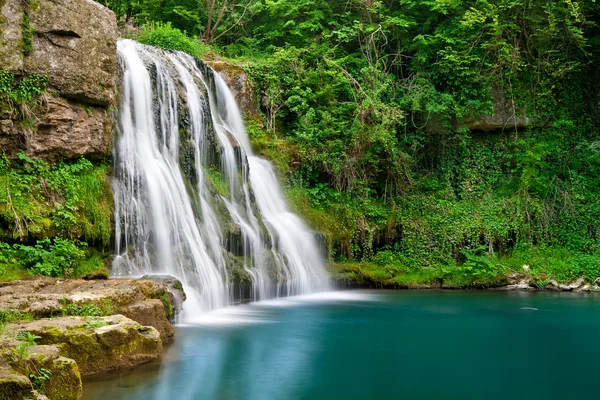 Waterfall in nature