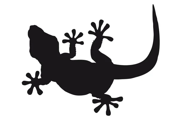 Lizard silhouette — Stock Photo, Image