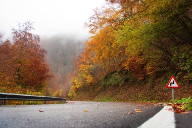 yol Güz