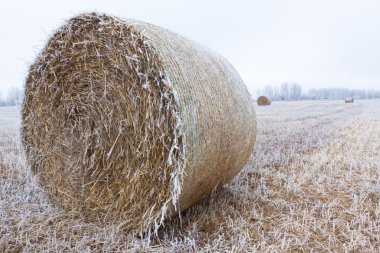 Wheat bale in the snow clipart