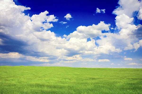 Zelená a modrá krajina — Stock fotografie
