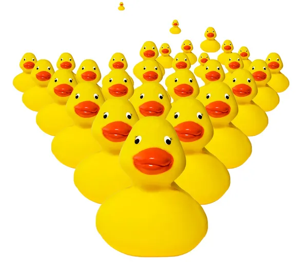 Horde of rubber duckies — Stock Photo, Image