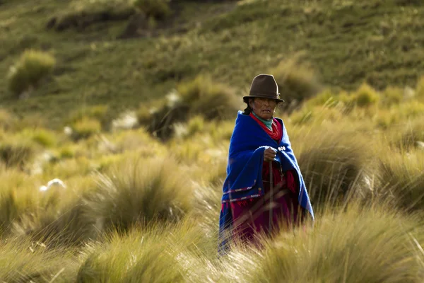 De boer Andes — Stockfoto