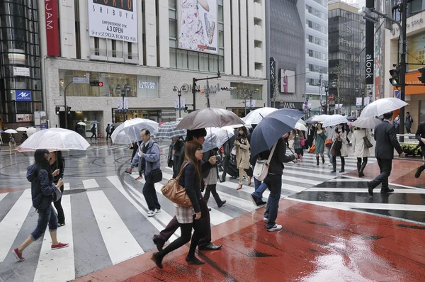 雨東京 — ストック写真