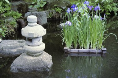 Zen pond clipart