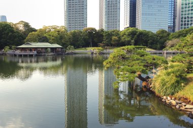 Hamarikyu zen Bahçesi