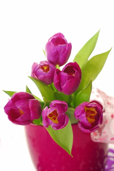 Mazzo di tulipani viola — Foto Stock