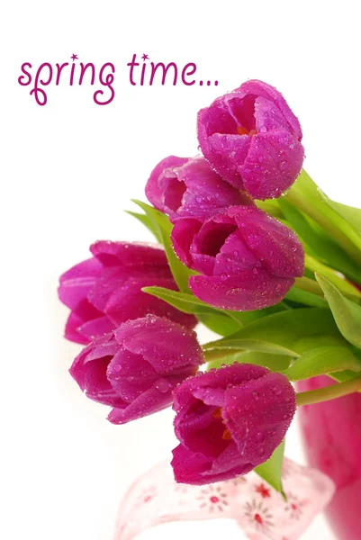 Manojo de tulipanes morados — Foto de Stock
