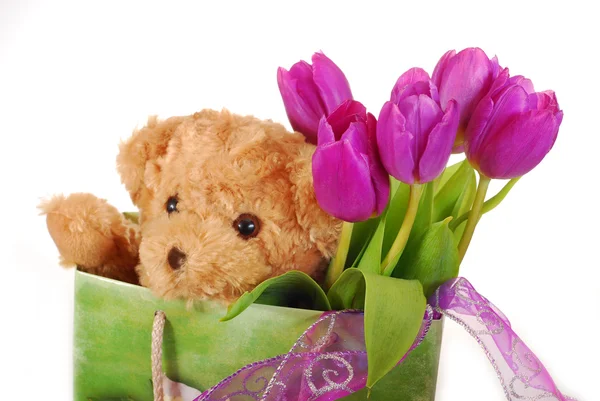 Тюльпаны и плюшевый мишка в подарочном пакете — стоковое фото