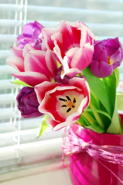 Branco di tulipani sul davanzale della finestra — Foto Stock