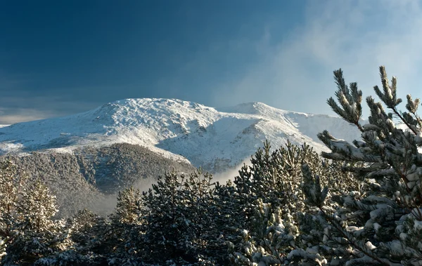 Widok szczytu góry przez drzewo krajobraz śniegu sezonowe — Zdjęcie stockowe