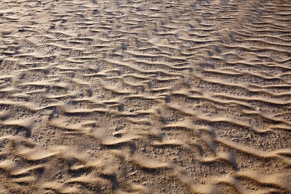 เนื้อทราย — ภาพถ่ายสต็อก