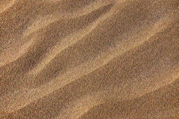 เนื้อทราย — ภาพถ่ายสต็อก