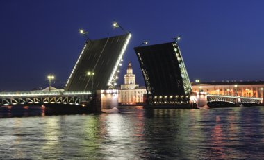 Night view of Palace Bridge. St Petersburg, Russia. clipart