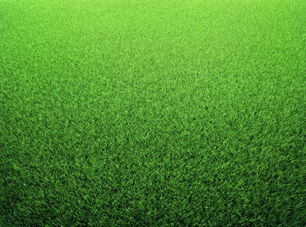 Gräsplan — Stockfoto