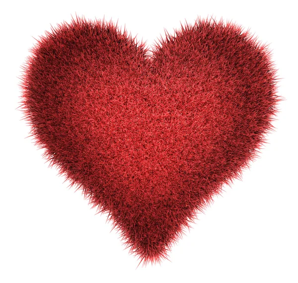Coeur rouge Shaggy — Photo