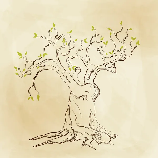 Spring tree — Stock Vector