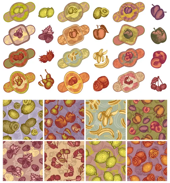 Collecte de fruits et de baies — Image vectorielle