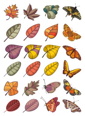 Collection of leaves and butterflies clipart