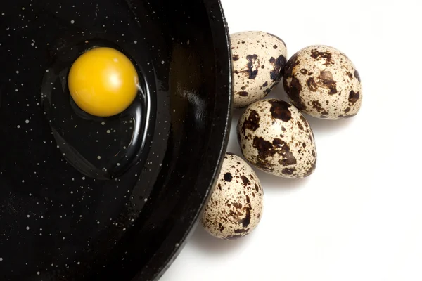 Bıldırcın yumurtası siyah Pan — Stok fotoğraf