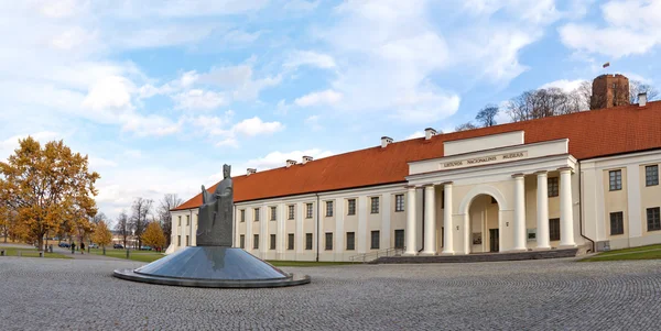 Национальный музей Литвы в Вильнюсе — стоковое фото