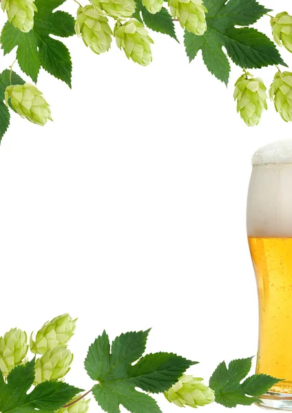 Decorative frame with fresh hop branches and beer — Stock Photo, Image