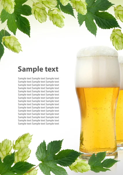 Dekorativ ram med färska hop grenar och öl — Stockfoto