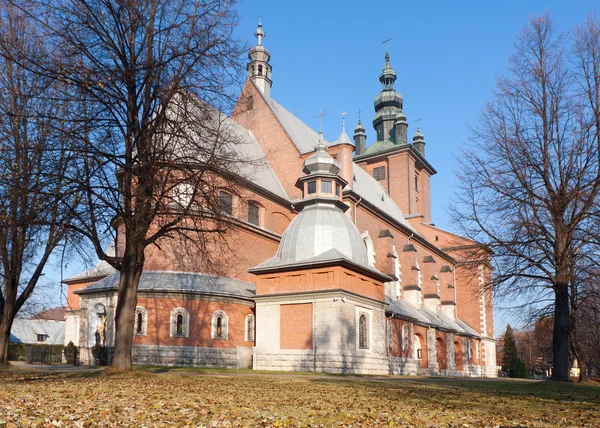Kirche in Nowy Targ, Polen. — Stockfoto