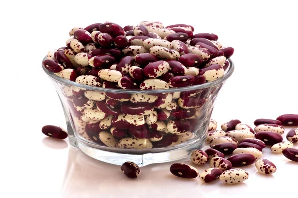 stock image A dish with kidney beans